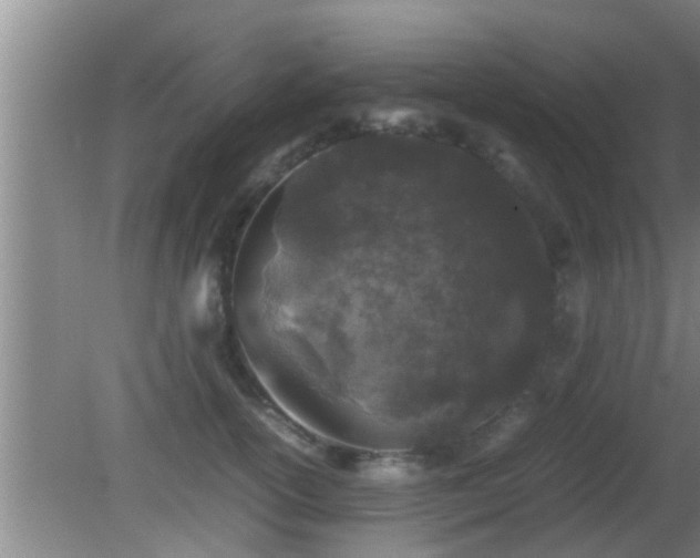 X0000081610754200701221202