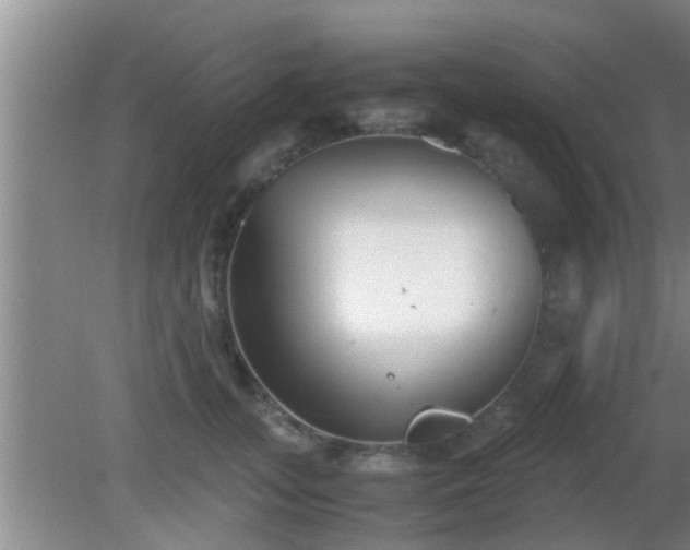 X0000081610755200701221202