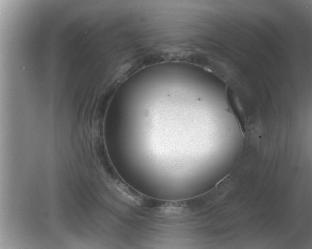 X0000081610756200701221202