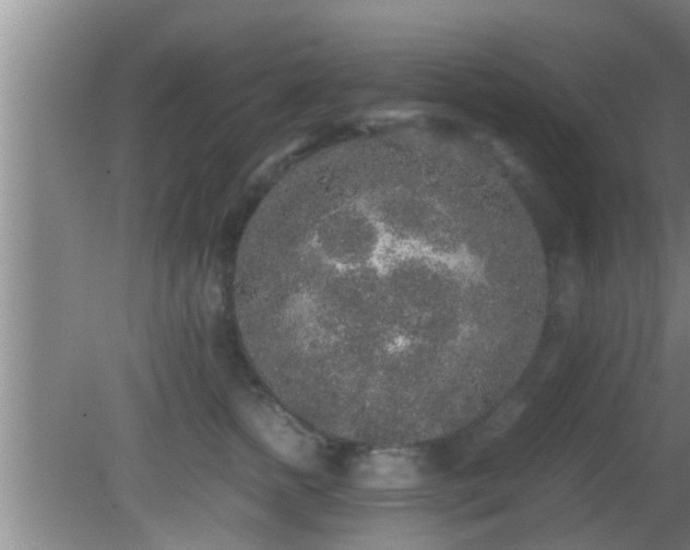 X0000081610758200701221202