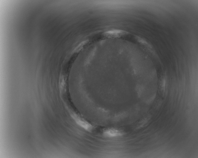 X0000081610759200701221202