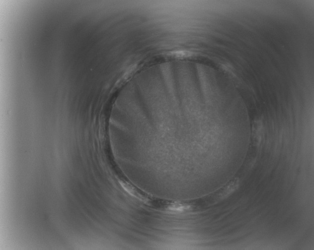 X0000081610760200701221202