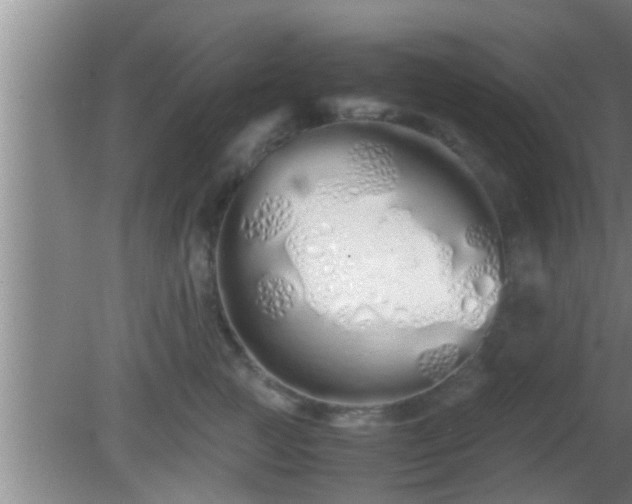 X0000081610761200701221202