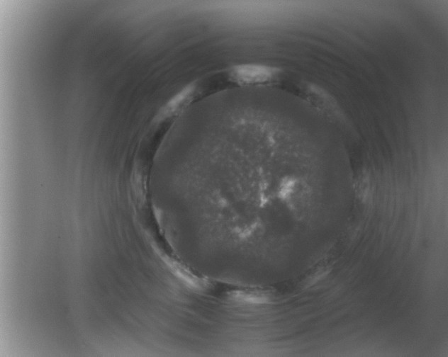 X0000081610763200701221202