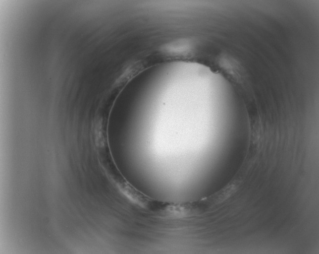 X0000081610764200701221202