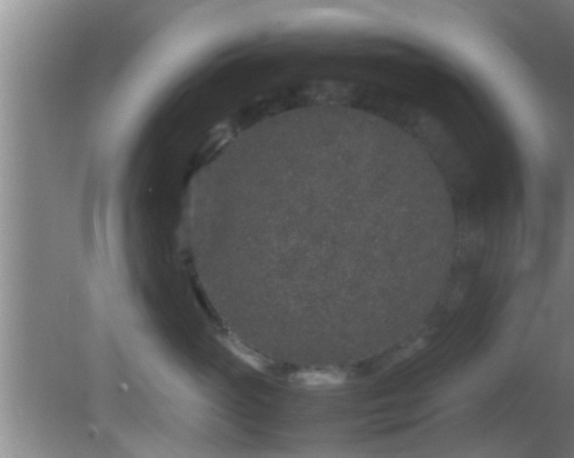 X0000081610765200701221202