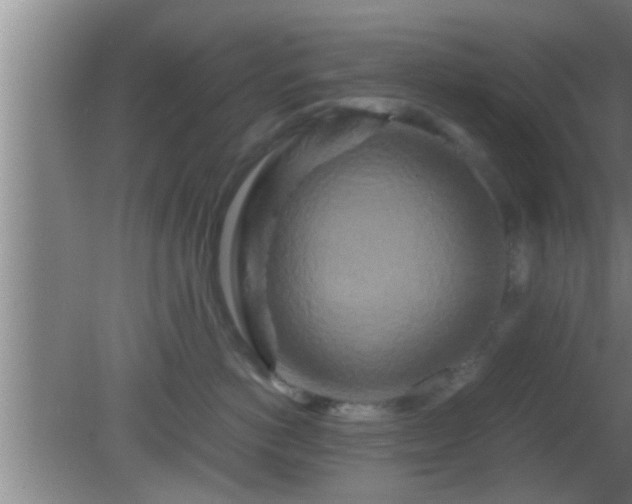 X0000081610766200701221202