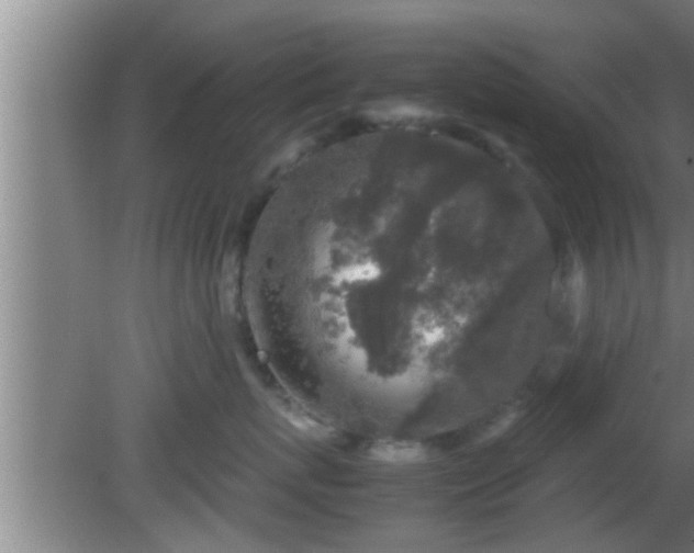 X0000081610767200701221202