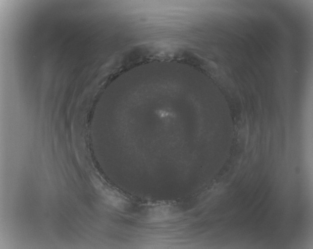 X0000081610769200701221201