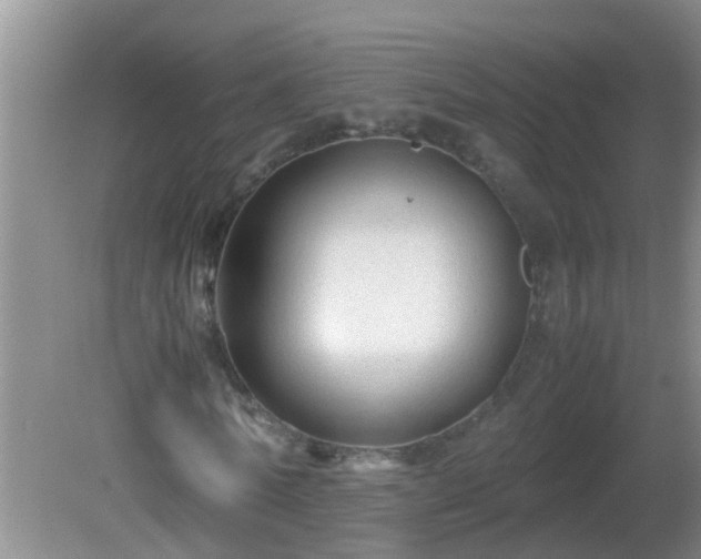 X0000081610770200701221201