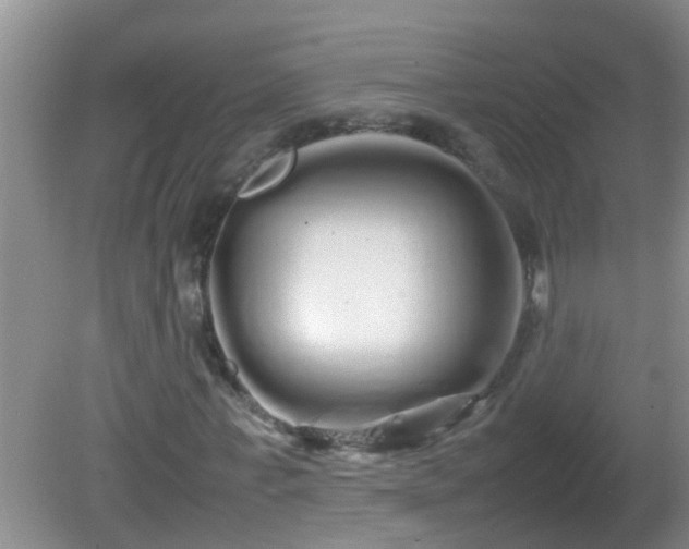 X0000081610771200701221201