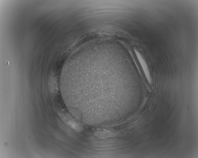 X0000081610772200701221201