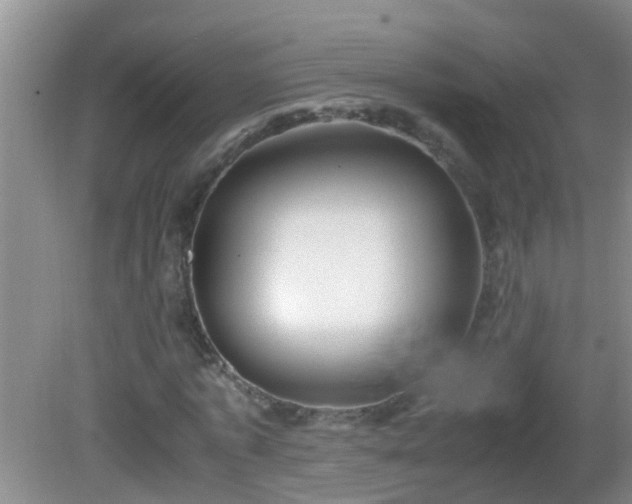 X0000081610773200701221201