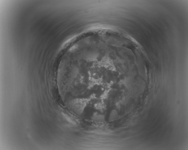 X0000081610775200701221201