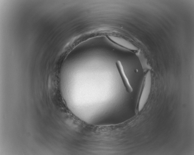 X0000081610776200701221201