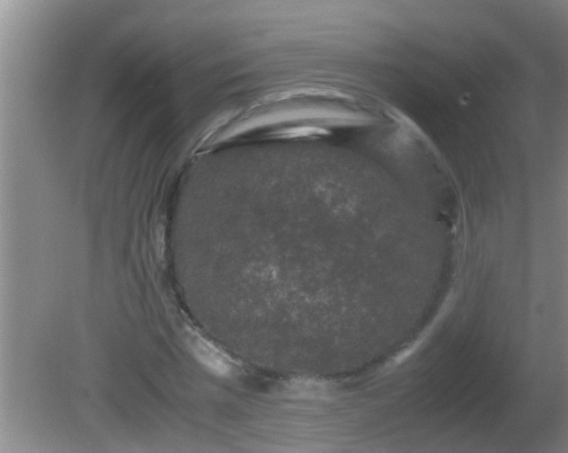 X0000081610777200701221201