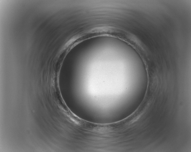 X0000081610778200701221201