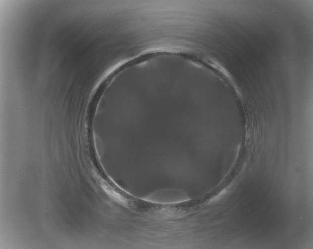 X0000081610779200701221201