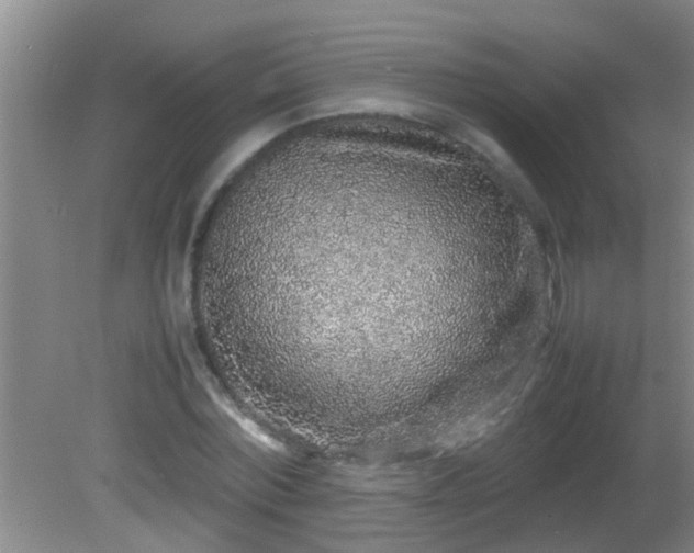 X0000081610780200701221201