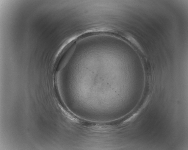 X0000081610781200701221201