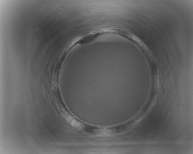 X0000081610785200701221201