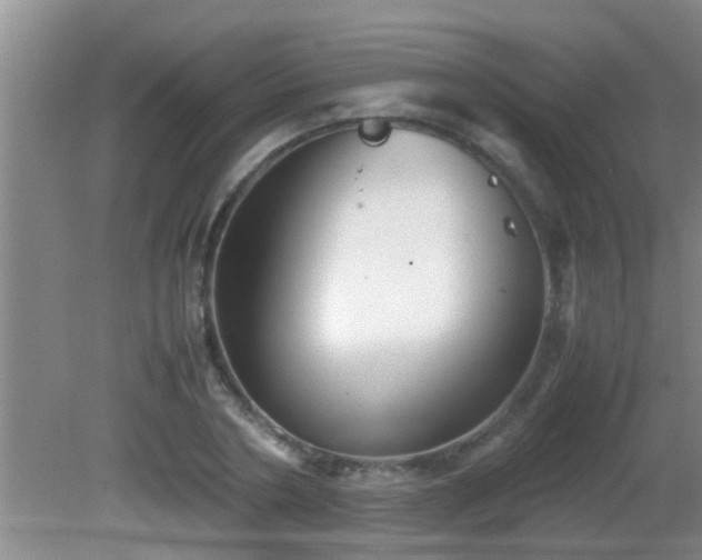 X0000081610786200701221201