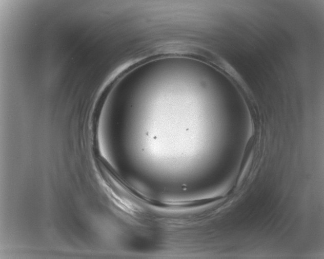 X0000081610787200701221201