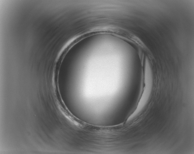 X0000081610788200701221201