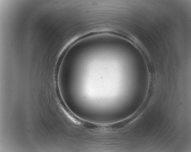 X0000081610789200701221201