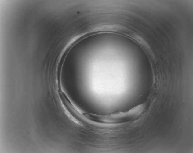 X0000081610792200701221201