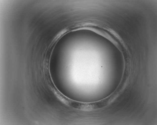 X0000081610793200701221201