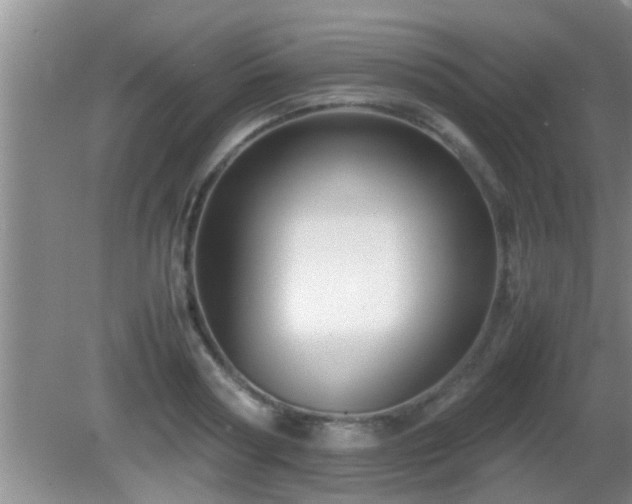 X0000081610794200701221201