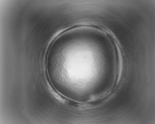 X0000081610795200701221201