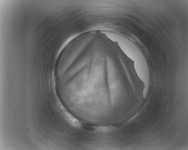 X0000081610796200701221201