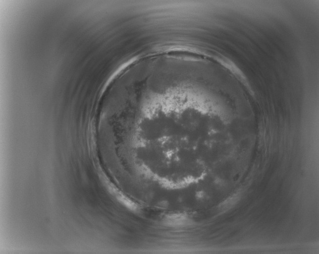 X0000081610798200701221201