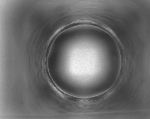 X0000081610799200701221201