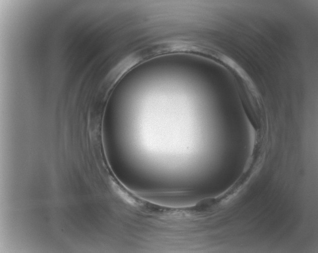 X0000081610801200701221201