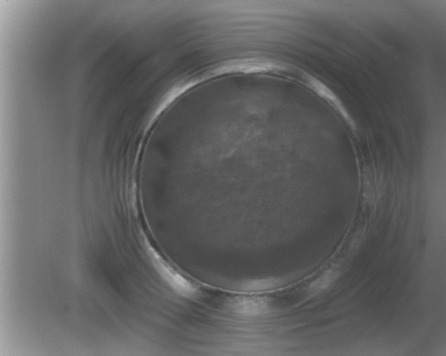 X0000081610802200701221201