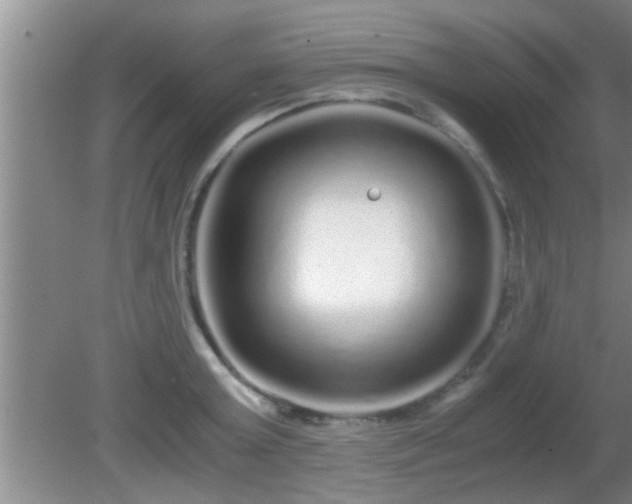 X0000081610803200701221201