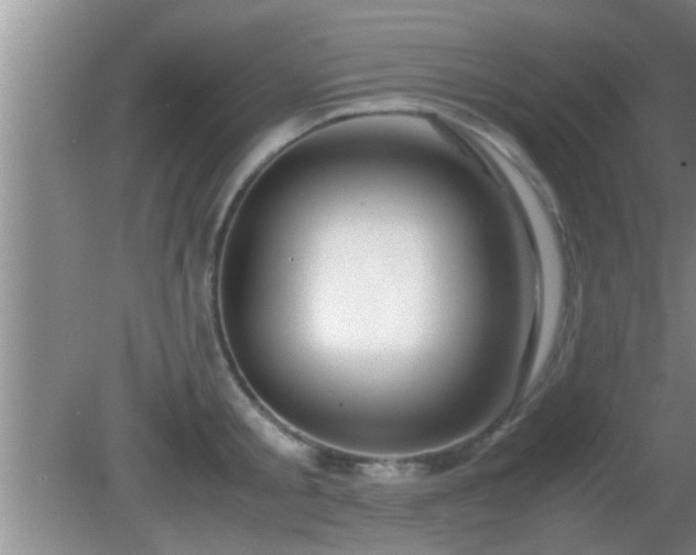 X0000081610805200701221201