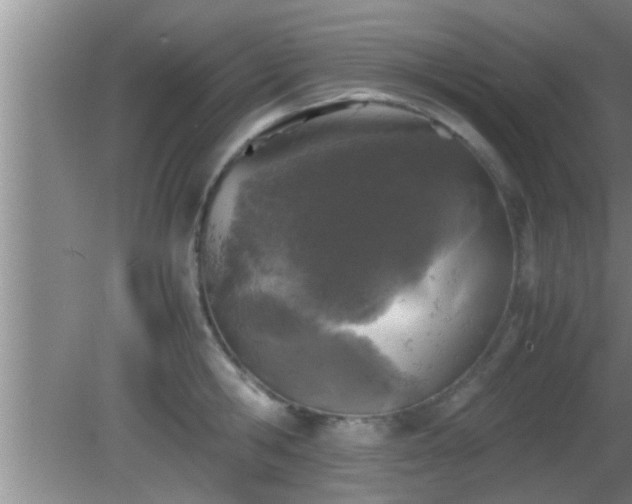 X0000081610806200701221201