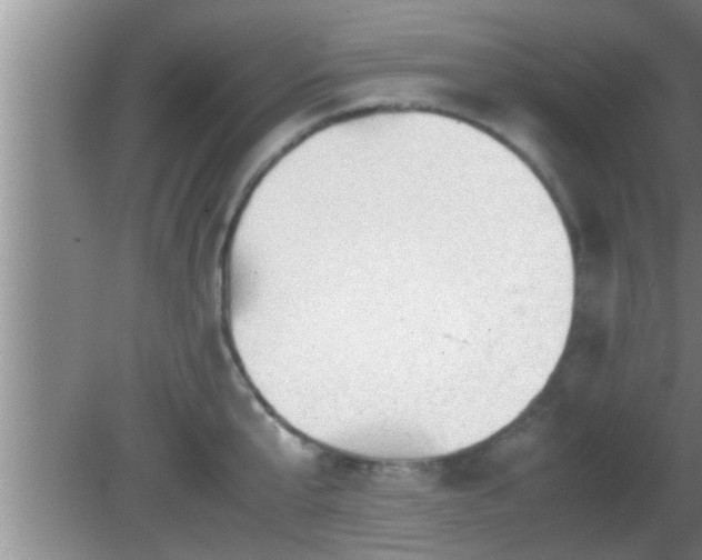 X0000081610807200701221201