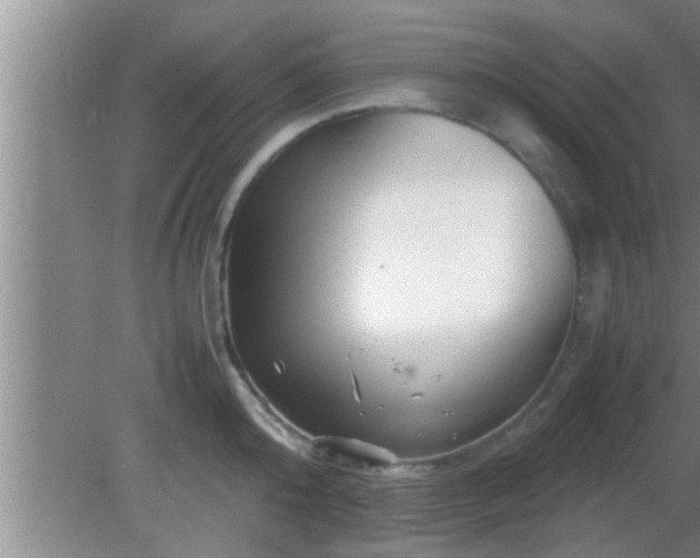 X0000081610808200701221201