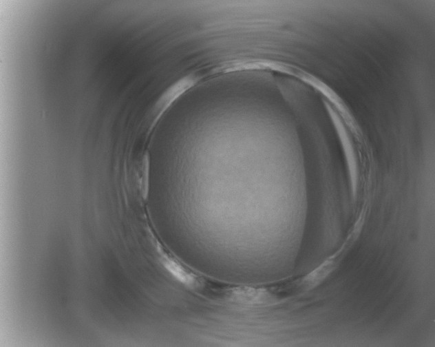 X0000081610809200701221201