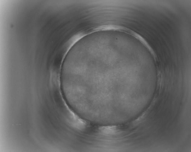 X0000081610810200701221200