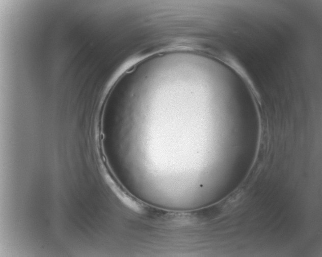 X0000081610811200701221200