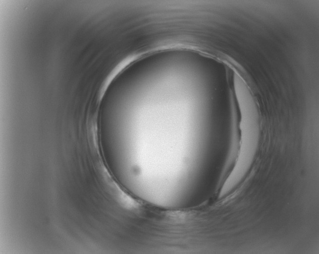 X0000081610812200701221200