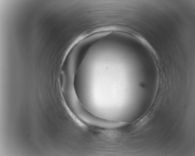 X0000081610813200701221200