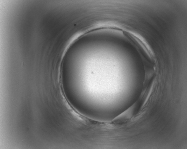 X0000081610815200701221200