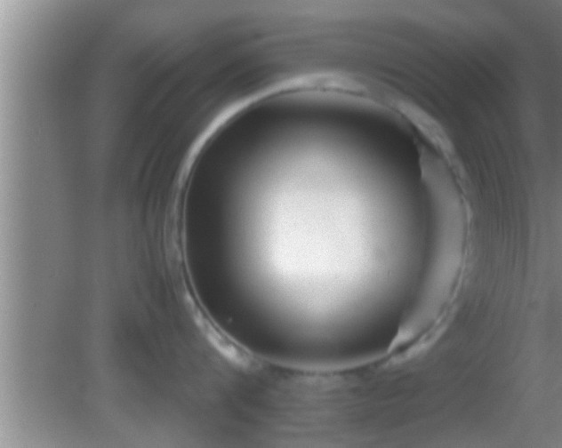 X0000081610816200701221200